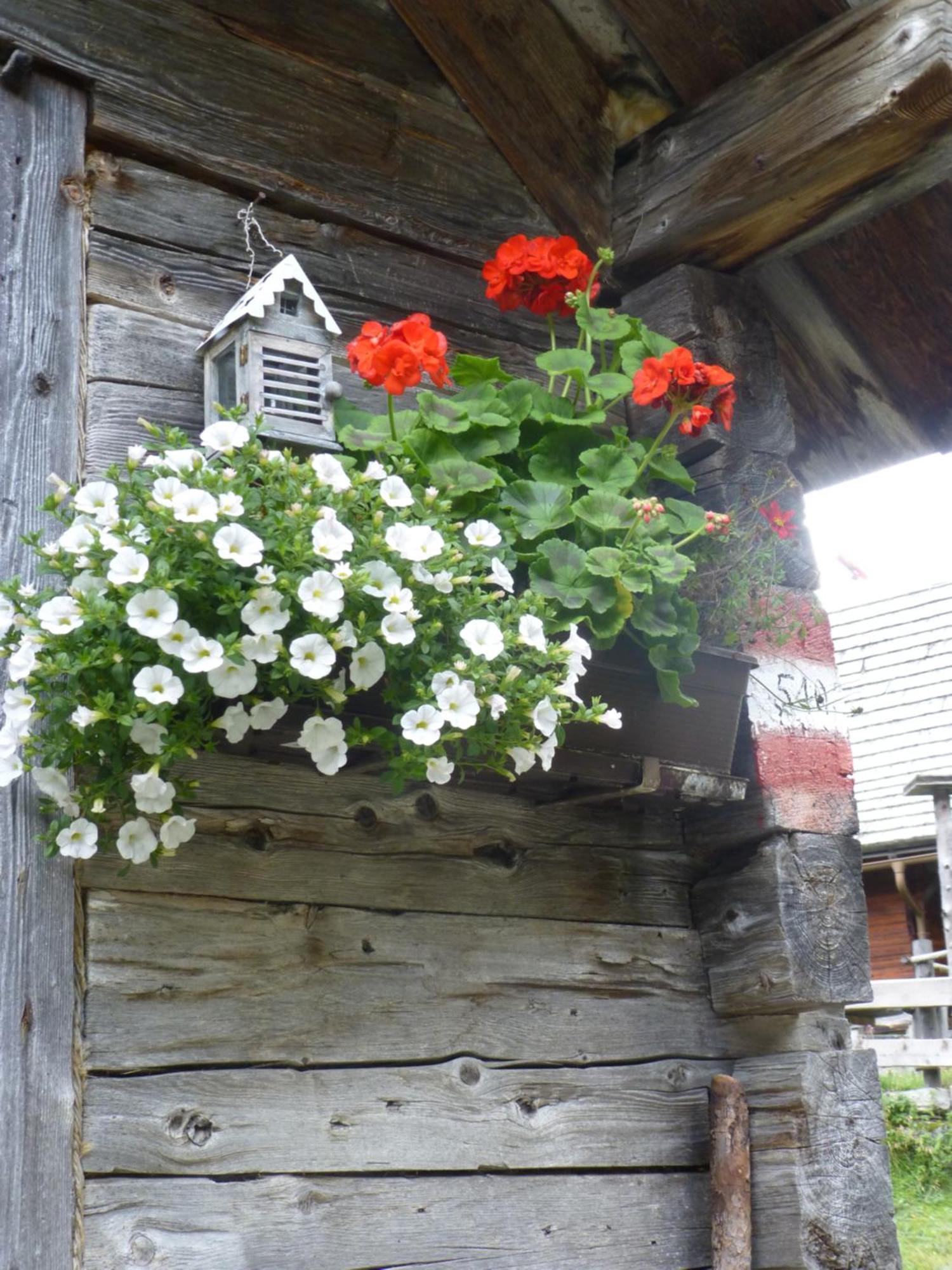 B&B,Bergheimat Oase Irschen Екстериор снимка