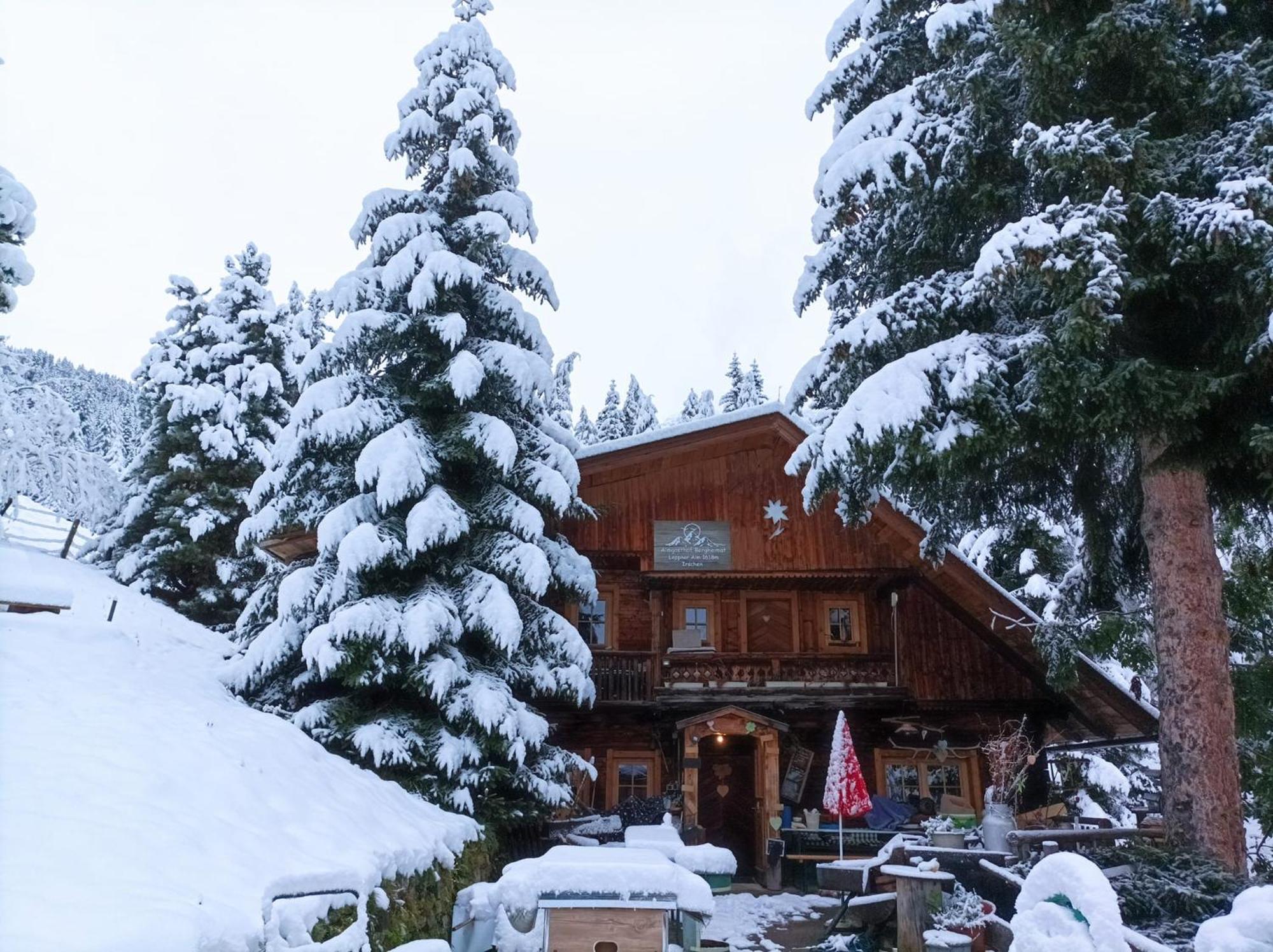 B&B,Bergheimat Oase Irschen Екстериор снимка