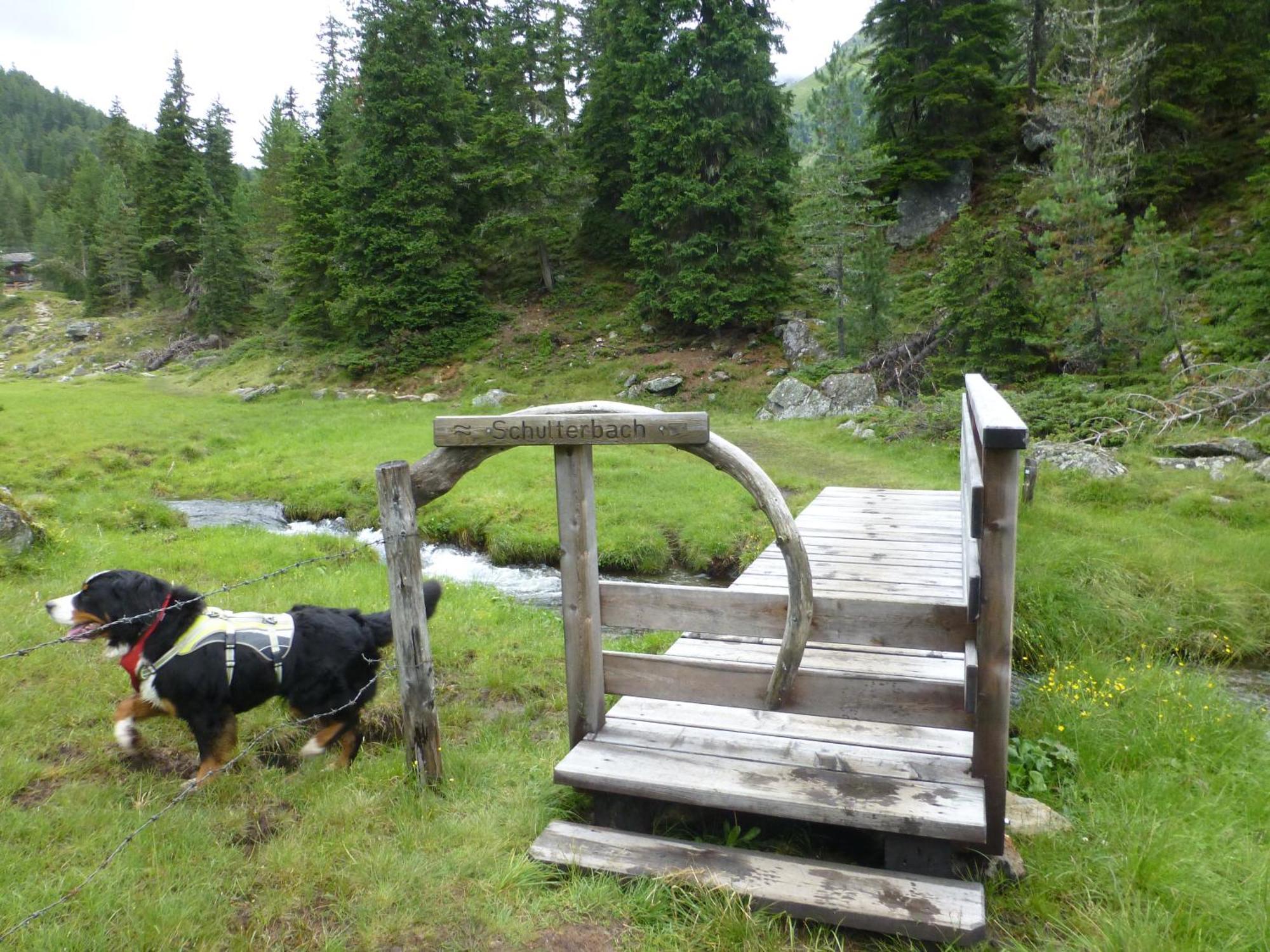 B&B,Bergheimat Oase Irschen Екстериор снимка